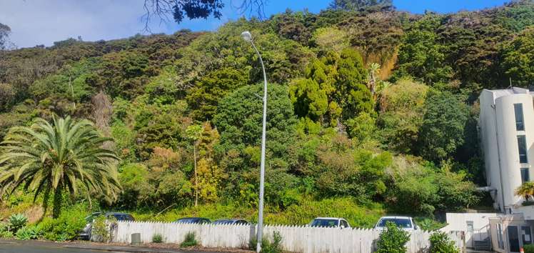 128 Marsden Road Paihia_6