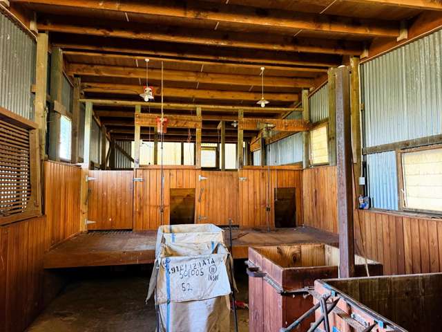 326 Flora Road East Makarewa_4