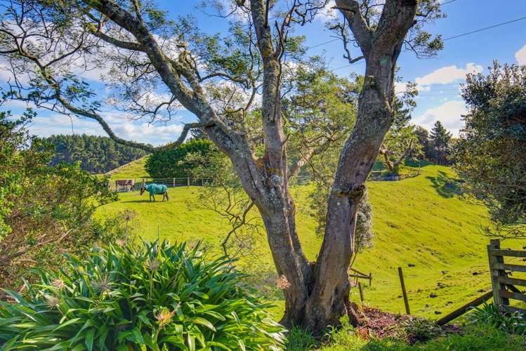 141 Te Hapua Road Te Horo_22