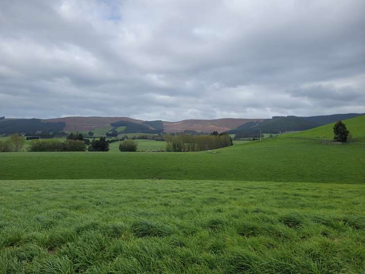 30 Phosphate Road Milton_7