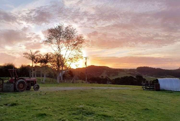 1093 Run Road Wellsford_40