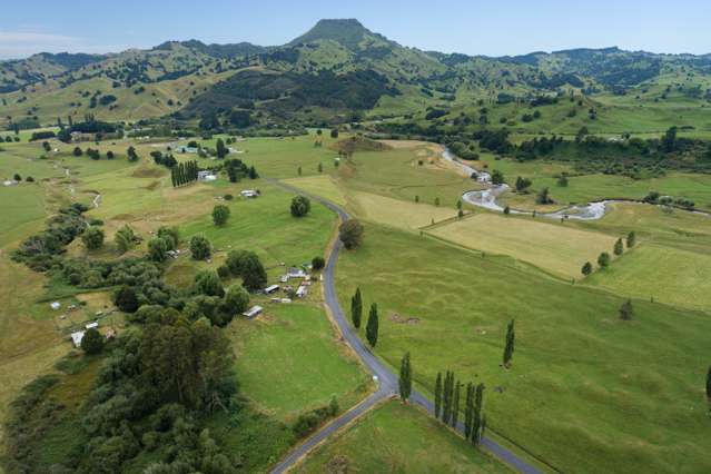 896 Taringamotu Road Taringamotu_2