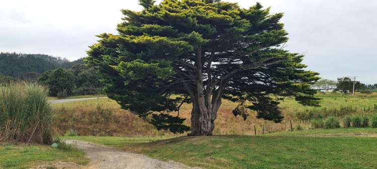Lot 2/675 Gorge Road Maungaturoto_23