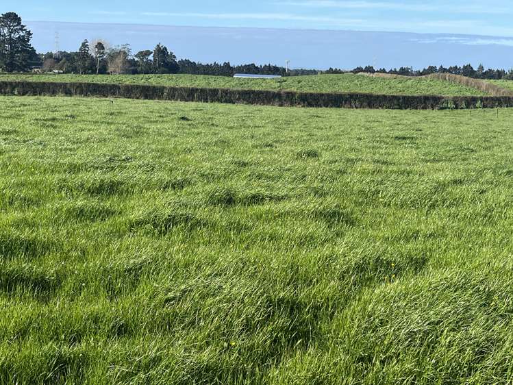 1061A Carrington Road Hurworth_17