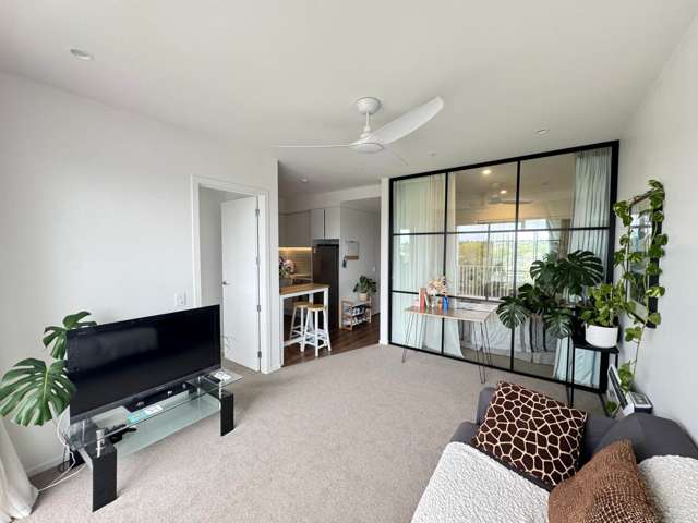 2 BEDROOMS APARTMENT IN ONEHUNGA