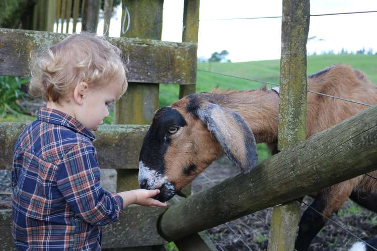 McLaren Falls Road Omanawa_8