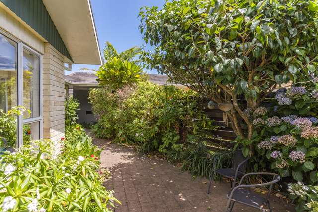 29B Kanawa Street Waikanae_4