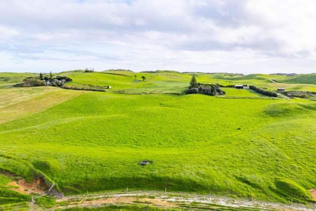 Lot Lot 2, 3 and 4 Mahuta Road Dargaville_3