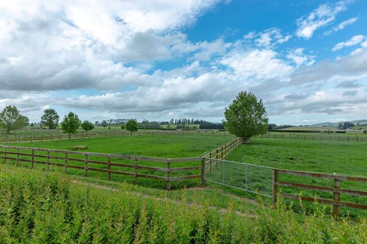 269 Bellevue Road Matangi_14