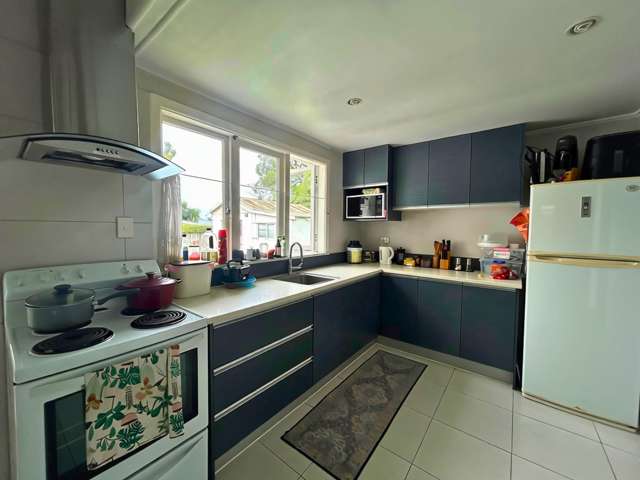 16 Hudson Street Ellerslie_2