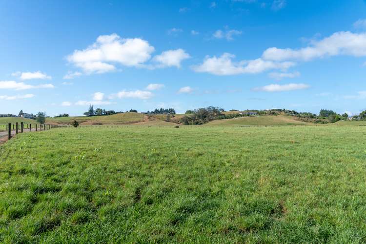 352 Bedford Road Te Kowhai_2