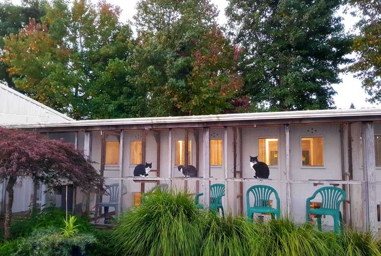 29 Walker Road West Katikati_26