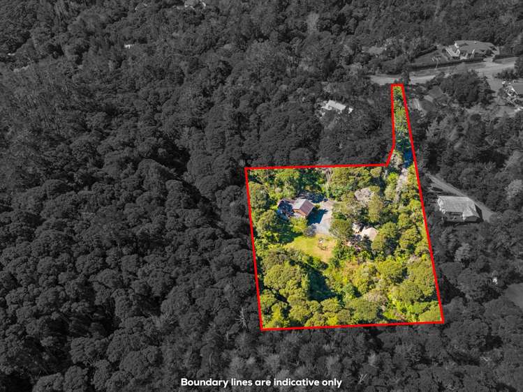 45 James Street Sandspit_23