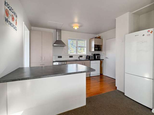 1 Ballantyne Av Upper Riccarton_1
