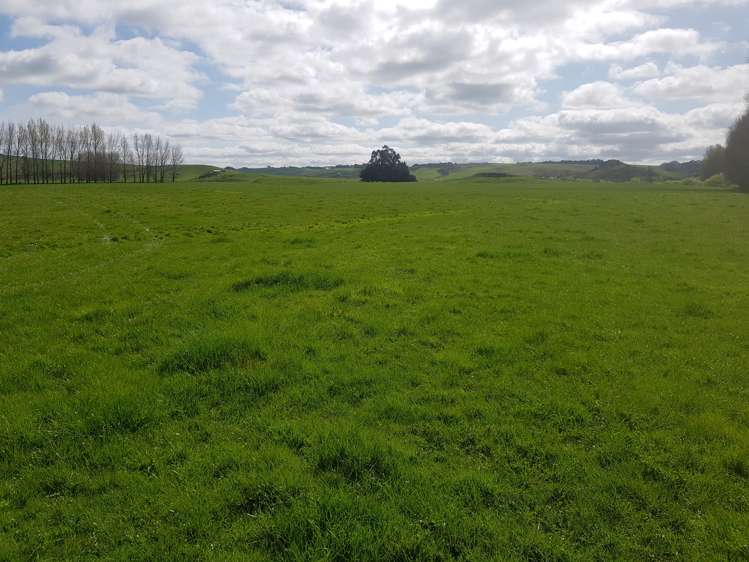 173 Soper Road Clinton and Surrounds_15