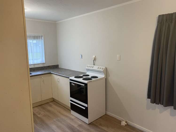 36a Black Beech Street Birchville_3