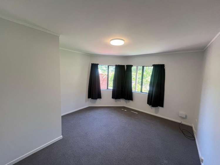 48 Norway Street Aro Valley_7