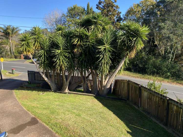 52 O'Neills Road Waitakere_2