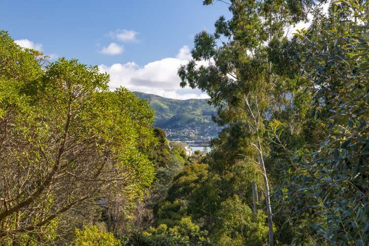 22 Marine Drive Diamond Harbour_23