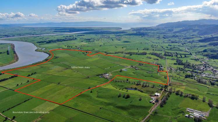 81 Station Road Puriri_12