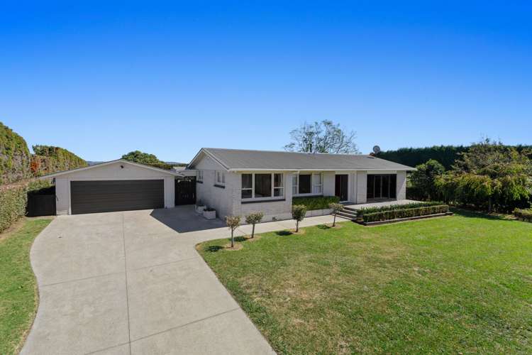 494 Paerata Ridge Road Opotiki and Surrounds_22