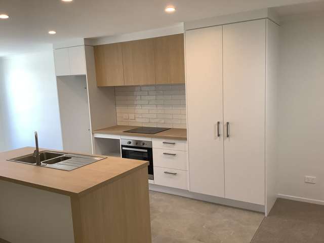 41 Te Ranga Memorial Drive Pyes Pa_4