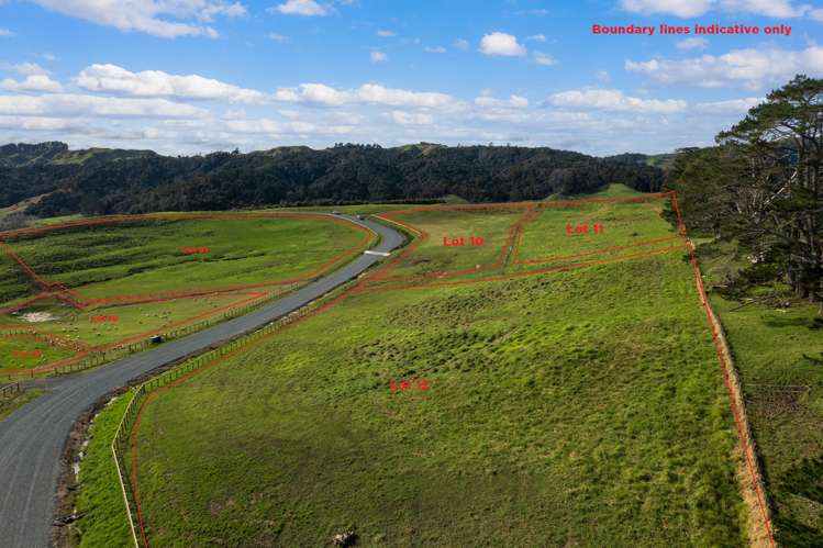 158 Hellyer Road Kaukapakapa_7