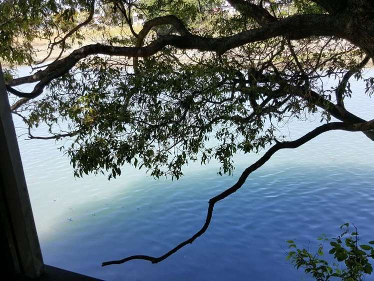 56 Stout Street Whataupoko_17