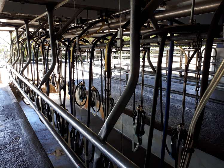 1971 Egmont Road Kaimiro_6