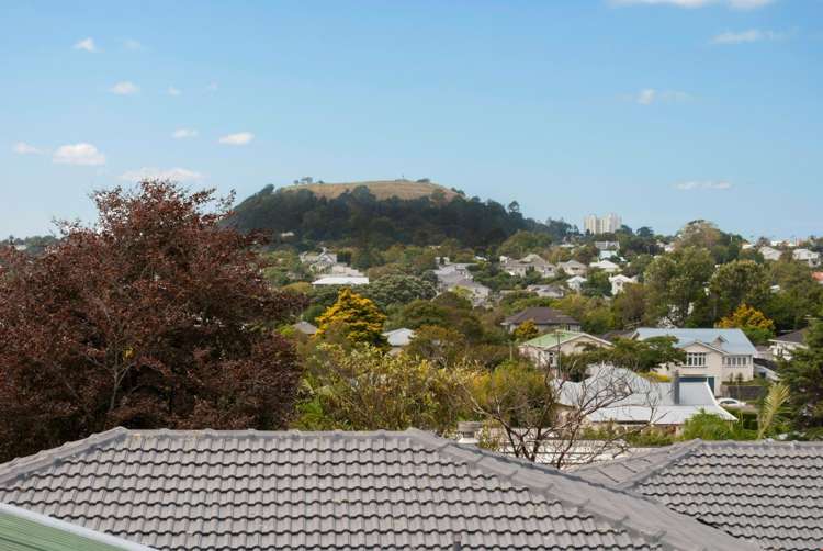 91 Landscape Road Mount Eden_15