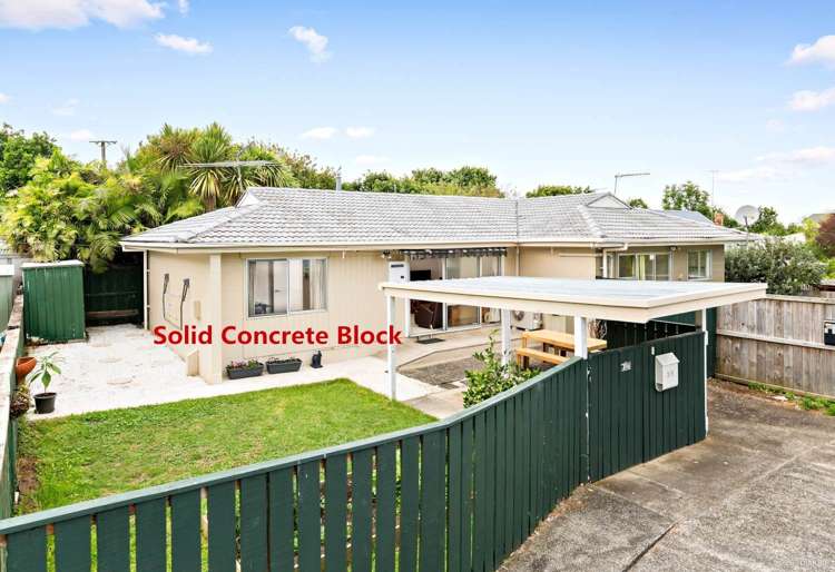 3/5 Colonel Nixon Street Onehunga_1