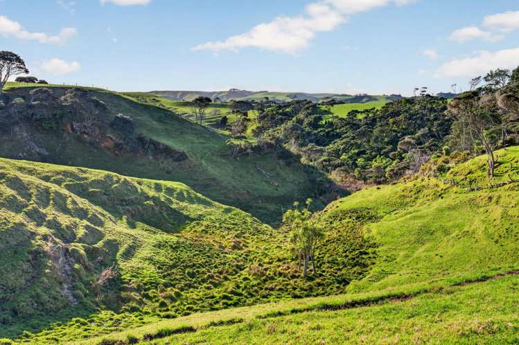 55 Coster Road Muriwai_7