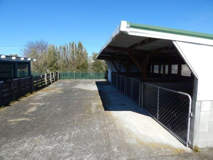 143 Riversdale Road Carterton_5