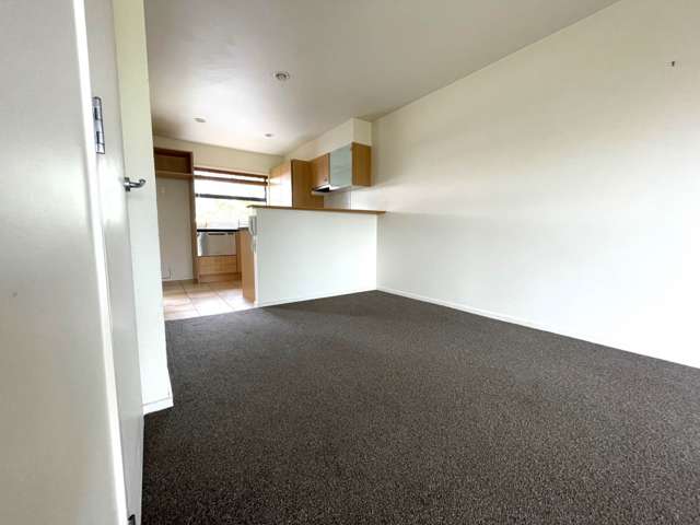 3n Laxon Terrace Remuera_2