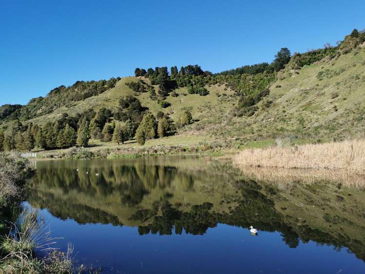 2/230 Clyde Road Burnside_14