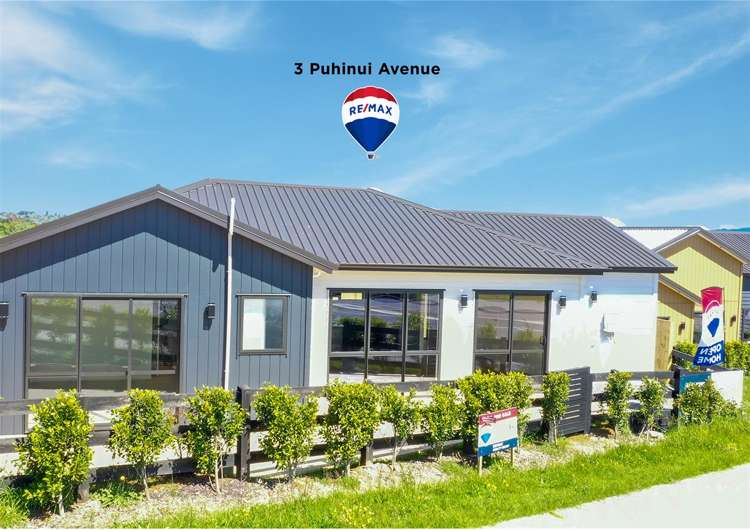 3 Puhinui Avenue_0