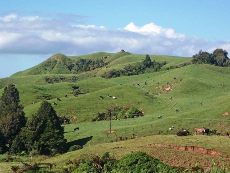 446 Stanley Road Te Popo_41