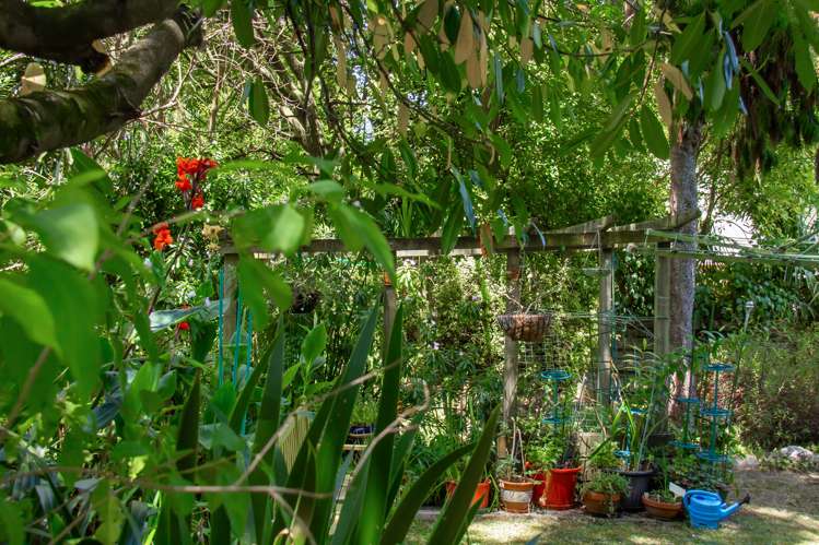 30 Titoki Street Palmerston North Central_20