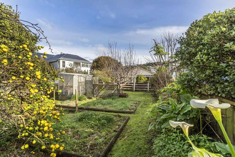 12 Weka Street Miramar_16