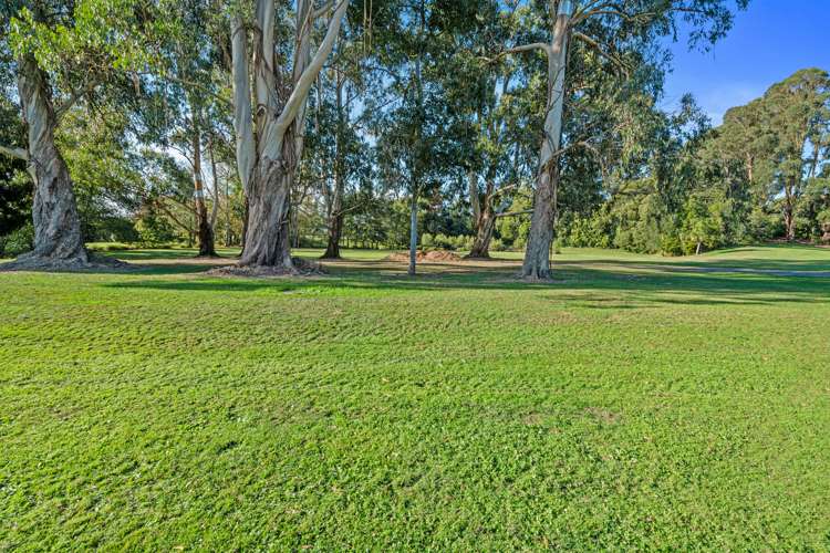 13 Reynolds Drive Glenview_18