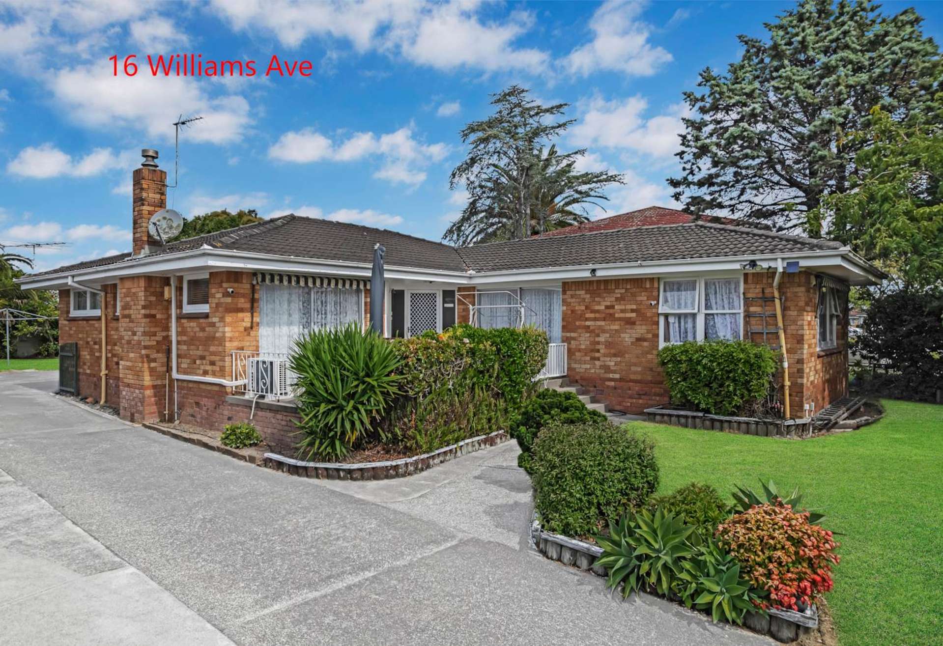 16 Williams Ave Pakuranga_0