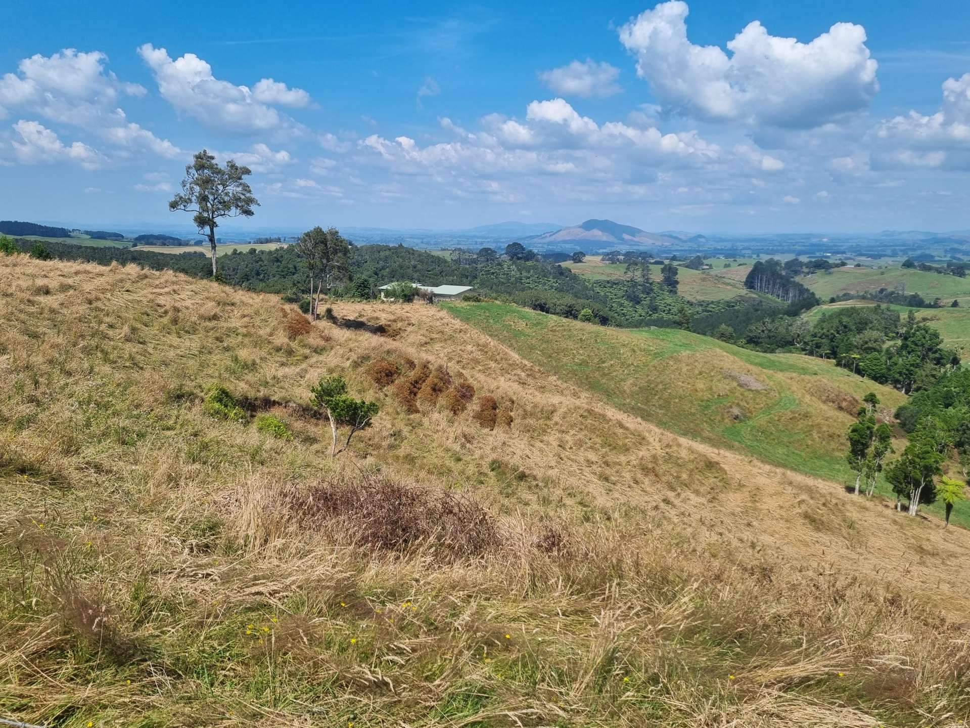 254b Pekanui Road Puketotara_0