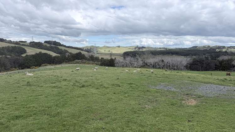 54A Ross Road Topuni_5