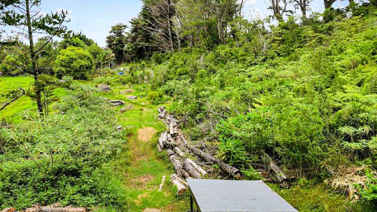 36 Caton Road Waitakere_15