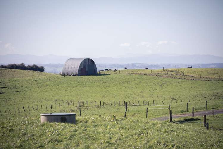 272 Ngutunui Road Puketotara_18