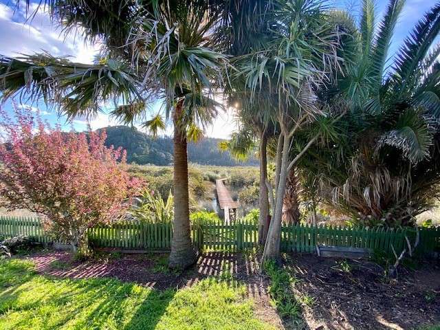 152 Mayfair Avenue Whangamata_2