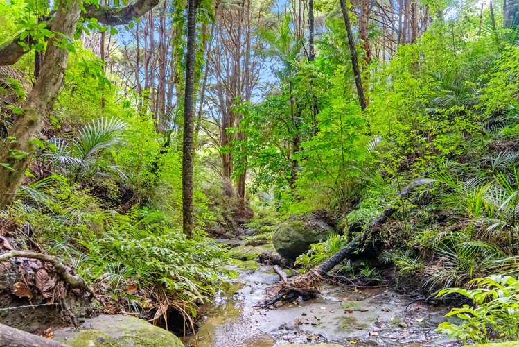 59 Ashton Road & Birdsall Road, Whangateau Leigh_9