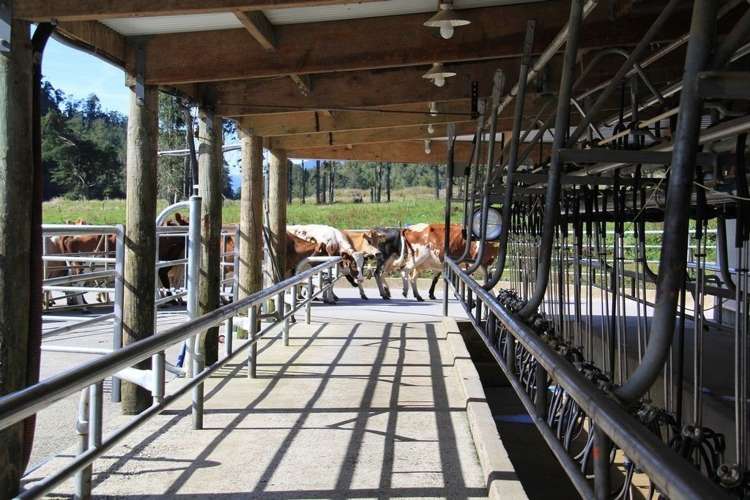 Karamea Highway Karamea_5