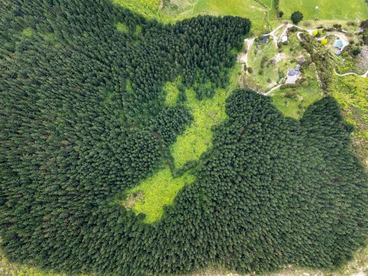 125 Kaiuma Bay Road Canvastown_7