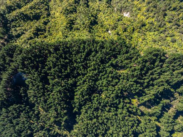 Tangahoe Valley Road Ohangai_2